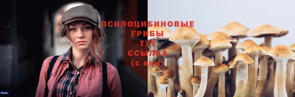 экстази Баксан