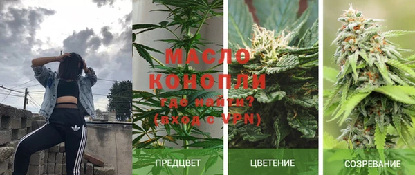 индика Нефтекумск